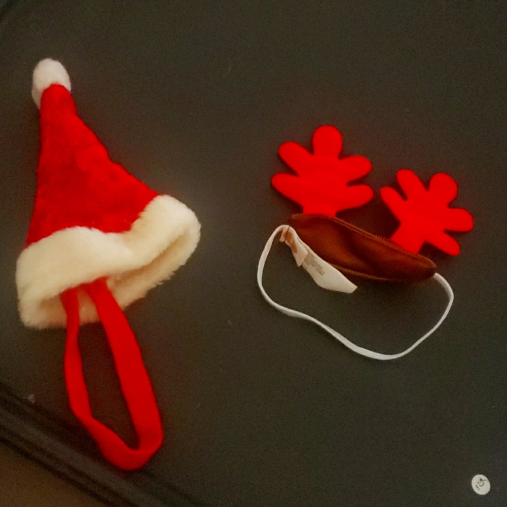 Santa Hat and Reindeer Antlers Dog Holiday Hats